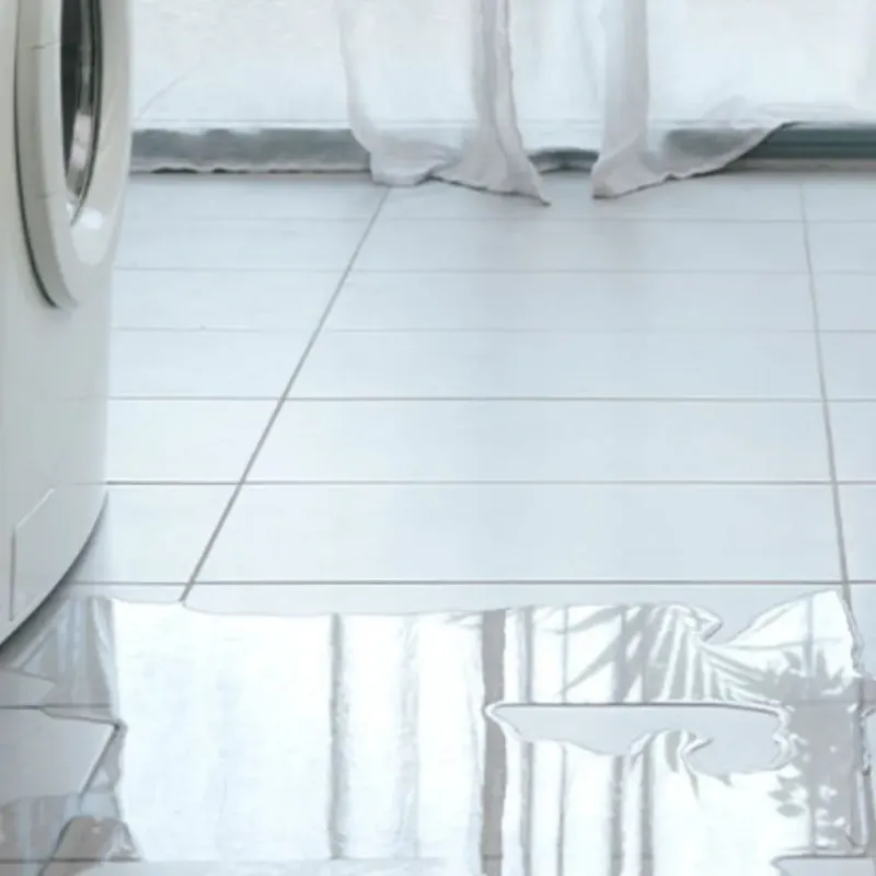 Appliance Leak Cleanup in Idylwood, VA