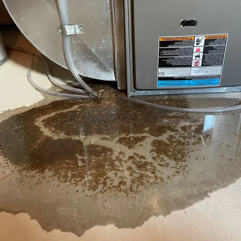 Pipe Burst and Leak Restoration in Idylwood, VA